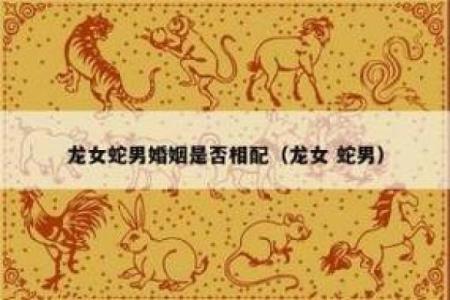 属龙跟属蛇合得来吗 属龙跟蛇在一起好不好