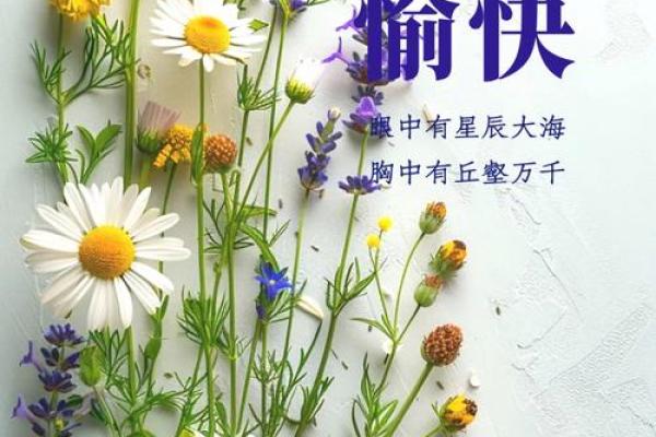 2025年5月20号