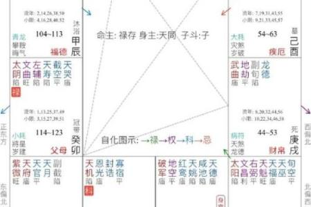 夫妻宫紫薇得天相得什么意思_夫妻宫紫微天相真的嫁给熟人了吗