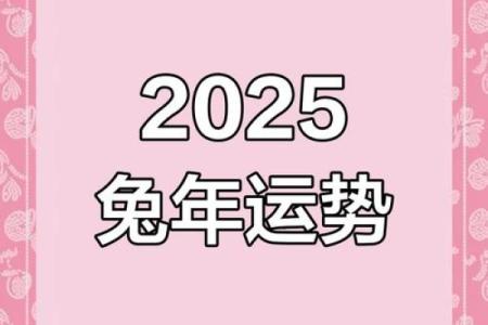 75年生肖兔2025年运势 75年生肖兔2025年运势详解财运事业感情全解析