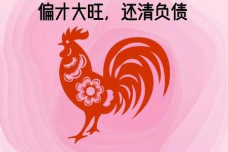 2025年属鸡是多少岁 2025年属鸡人年龄详解你今年几岁
