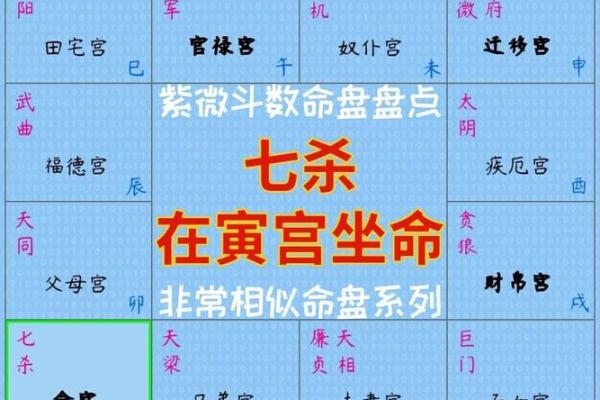 2025年2月15日寅时男命紫微斗数全解盘