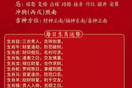 属鸡人2024年运势详解_2024年属鸡人运势详解财运事业感情全解析
