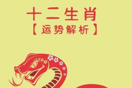 2025属兔人全年运势1975_2025年属兔人全年运势解析1975年出生者运程详解