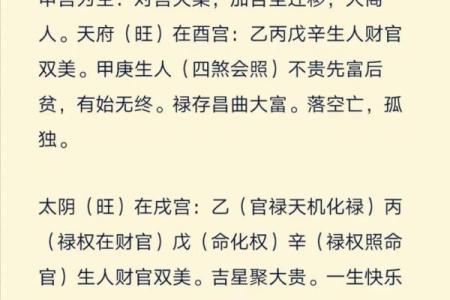 2025年2月16日卯时男命紫微斗数全解盘