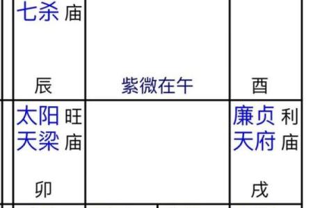 2025年3月16日寅时男命紫微斗数全解盘