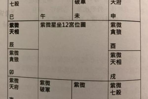 2025年2月22日丑时女命紫微斗数全解盘