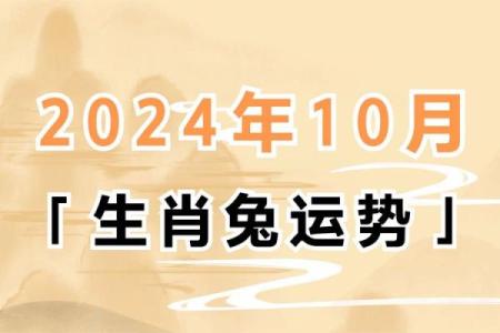 1951年属兔人寿命解析晚年运势与寿终预测