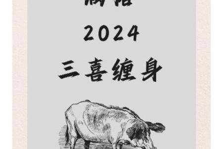 属猪2025多少岁_95年属猪25岁命运