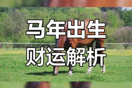 属马人在2025年的运势_90属马的2025年全年运势