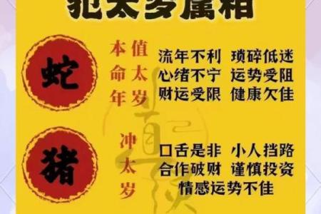属龙的2025年运势及运程详解_属龙人2025