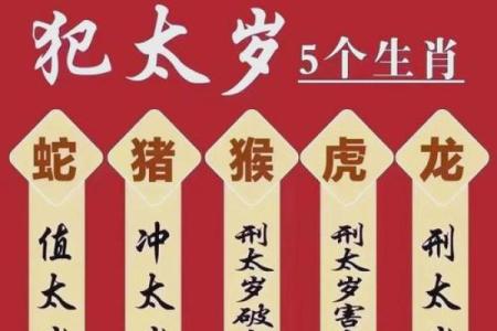 2025属龙人最旺月份 2025年属龙人最旺月份揭晓年中这几月运势登顶