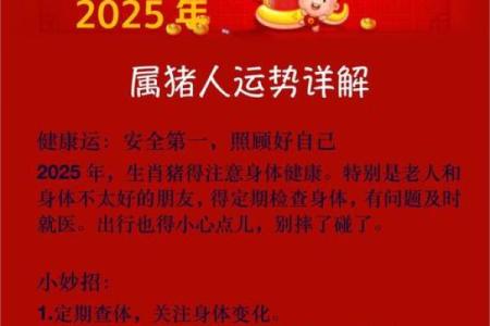 2025年属猪1971年出生的运势 2025年属猪1971年出生运势解析财运健康感情全揭秘