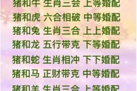 1971年属猪男在2025年运势_1971年猪男在2022年运势