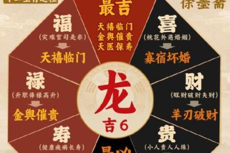 属龙的今年多大了2025 2025年属龙人年龄对照表各月出生岁数解析