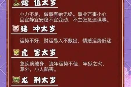 属相猪2025年运势及运程详解 2025年属猪人运势详解全年运程大揭秘