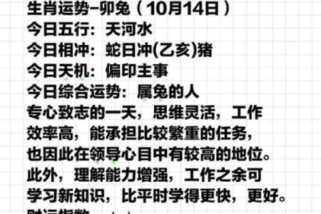 2025年生肖兔运势详解财运事业爱情全面解析