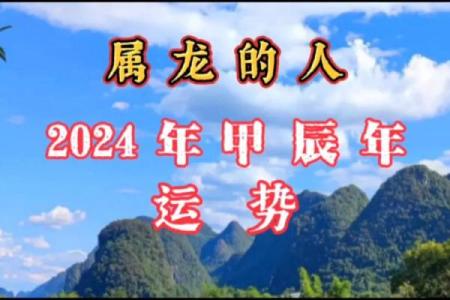 2012年属龙的学业运程 2012年属龙学业怎样