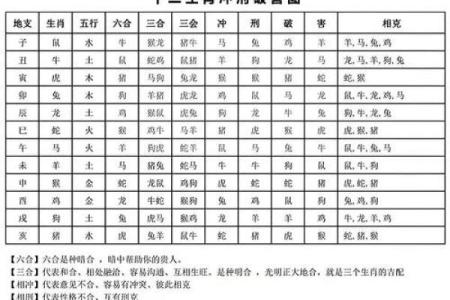 2000年属龙的人是什么命 2000年农历五月属龙人命理解析五行运势与性格特征