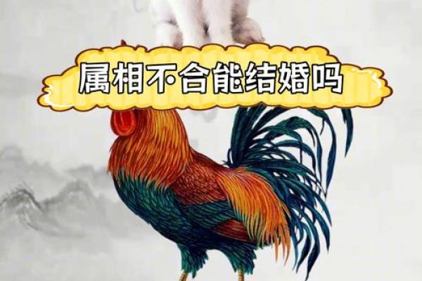 属兔和属羊的婚姻配对天生一对还是挑战重重