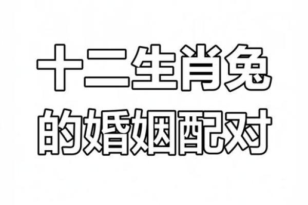 属兔本命年有什么讲究和禁忌 有什么要注意的
