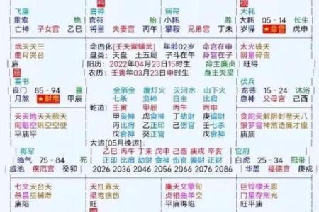 2025年4月3日寅时女命紫微斗数全解盘