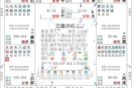 2025年4月8日申时女命紫微斗数全解盘