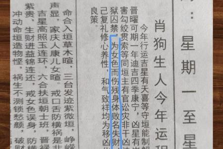 属狗今天的财运和运势 属狗今日财运与运势解析吉凶预测与提升技巧