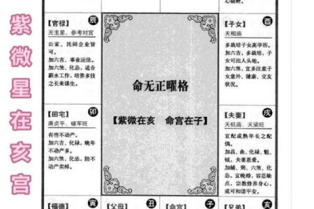 2025年4月8日寅时女命紫微斗数全解盘
