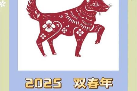 属狗人2025年的运势 属狗人2025年运势详解财运事业爱情全面解析