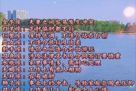本周12星座运势_本周十二星座运势