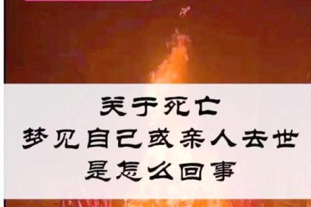 梦见父母去世