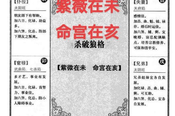 2025年4月14日巳时女命紫微斗数全解盘
