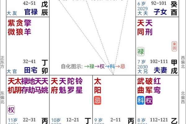 2025年4月14日未时男命紫微斗数全解盘