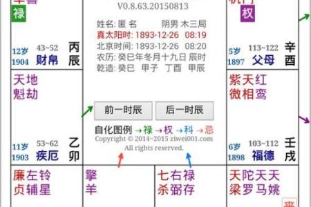 2025年4月2日卯时女命紫微斗数全解盘