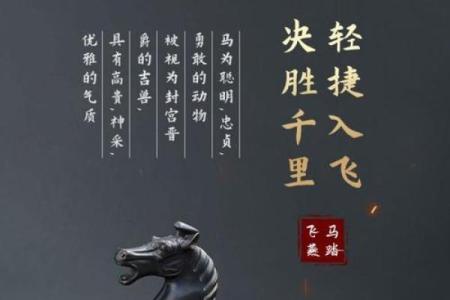 行动如飞指什么生肖(行动如飞指什么生肖和动物)