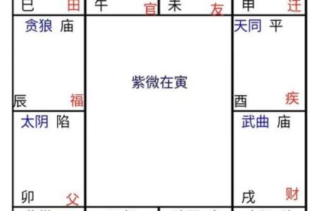 2025年4月8日午时女命紫微斗数全解盘