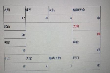 2025年4月7日卯时男命紫微斗数全解盘