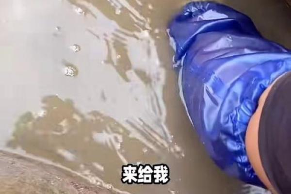 梦见自己抓鱼