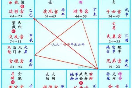 2025年4月1日丑时男命紫微斗数全解盘