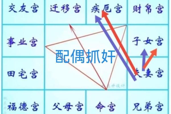 2025年4月11日未时女命紫微斗数全解盘