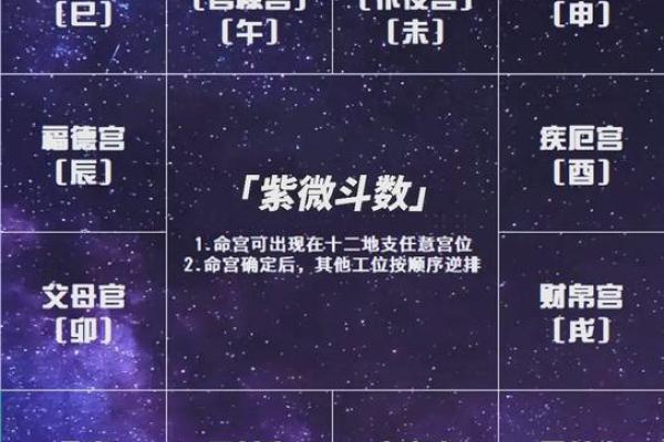 2025年4月17日丑时女命紫微斗数全解盘