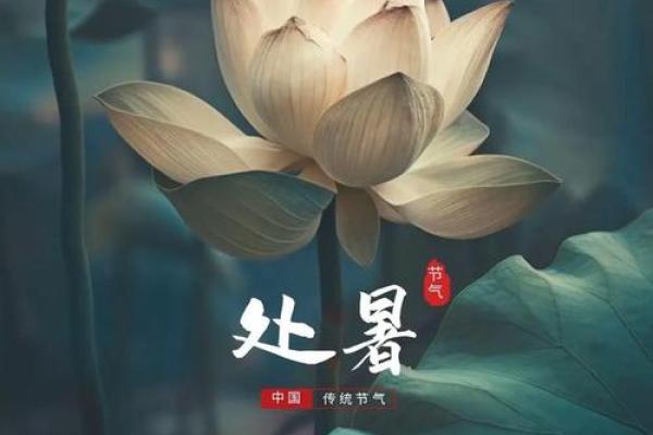 2020年处暑