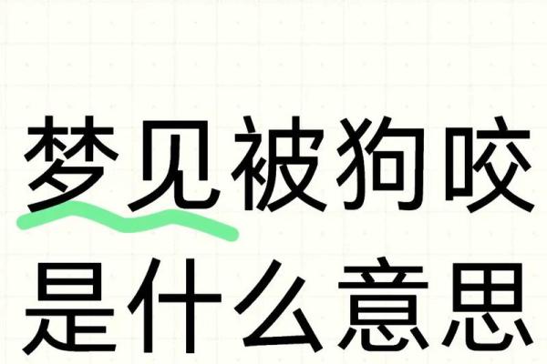 女人梦见狗