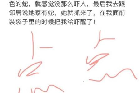 梦到蛇 解梦