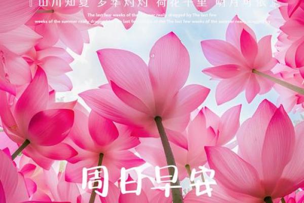 2024年祝福短句