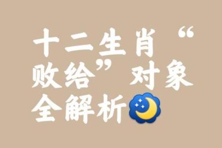 心照不宣是什么生肖(心照不宣是什么生肖打一肖)