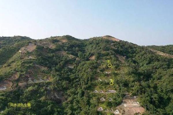 巧断墓地风水