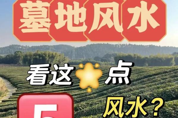 巧断墓地风水