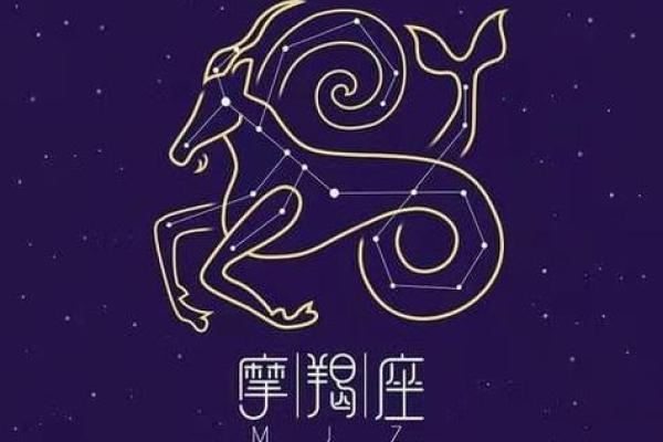 摩羯座女生适合什么星座男生_十二星座